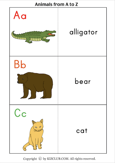 Animals A-Z