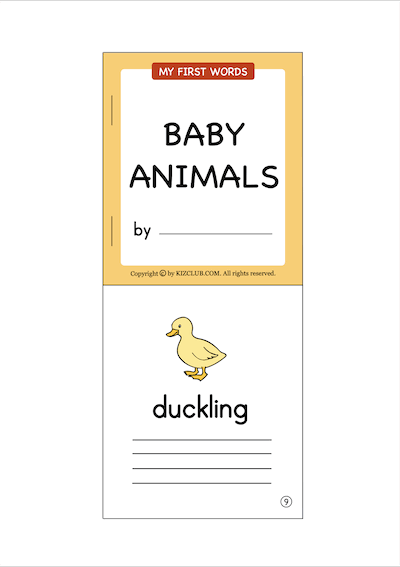 Baby Animals Book