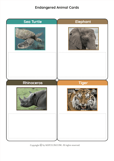 Endangered Animals