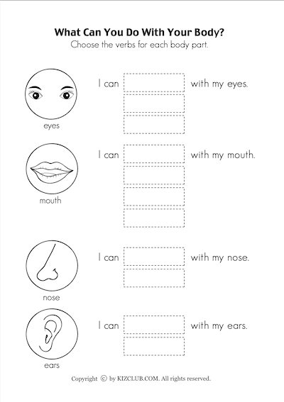 Verbs of Body Movement